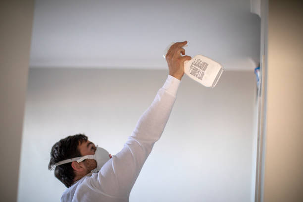 Best Water Damage Restoration  in Odessa, FL