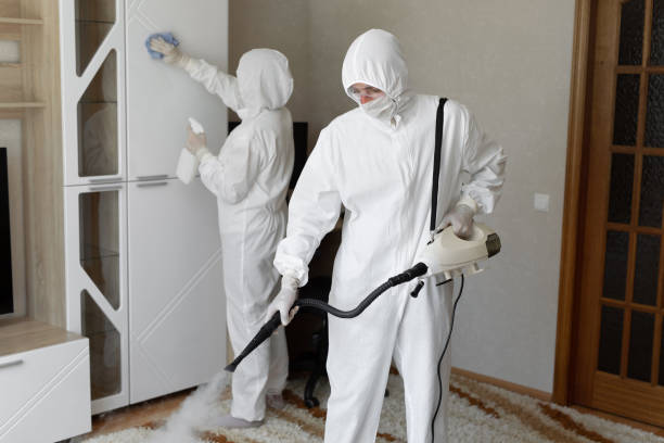 Best Attic Mold Removal  in Odessa, FL